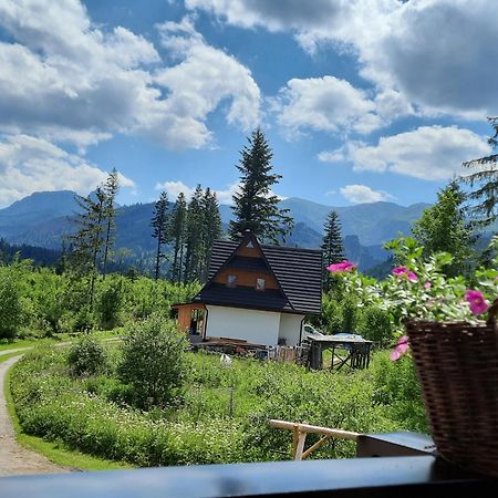 Goralska Chata Przy Dolinie Chocholowskiej Witów Eksteriør bilde