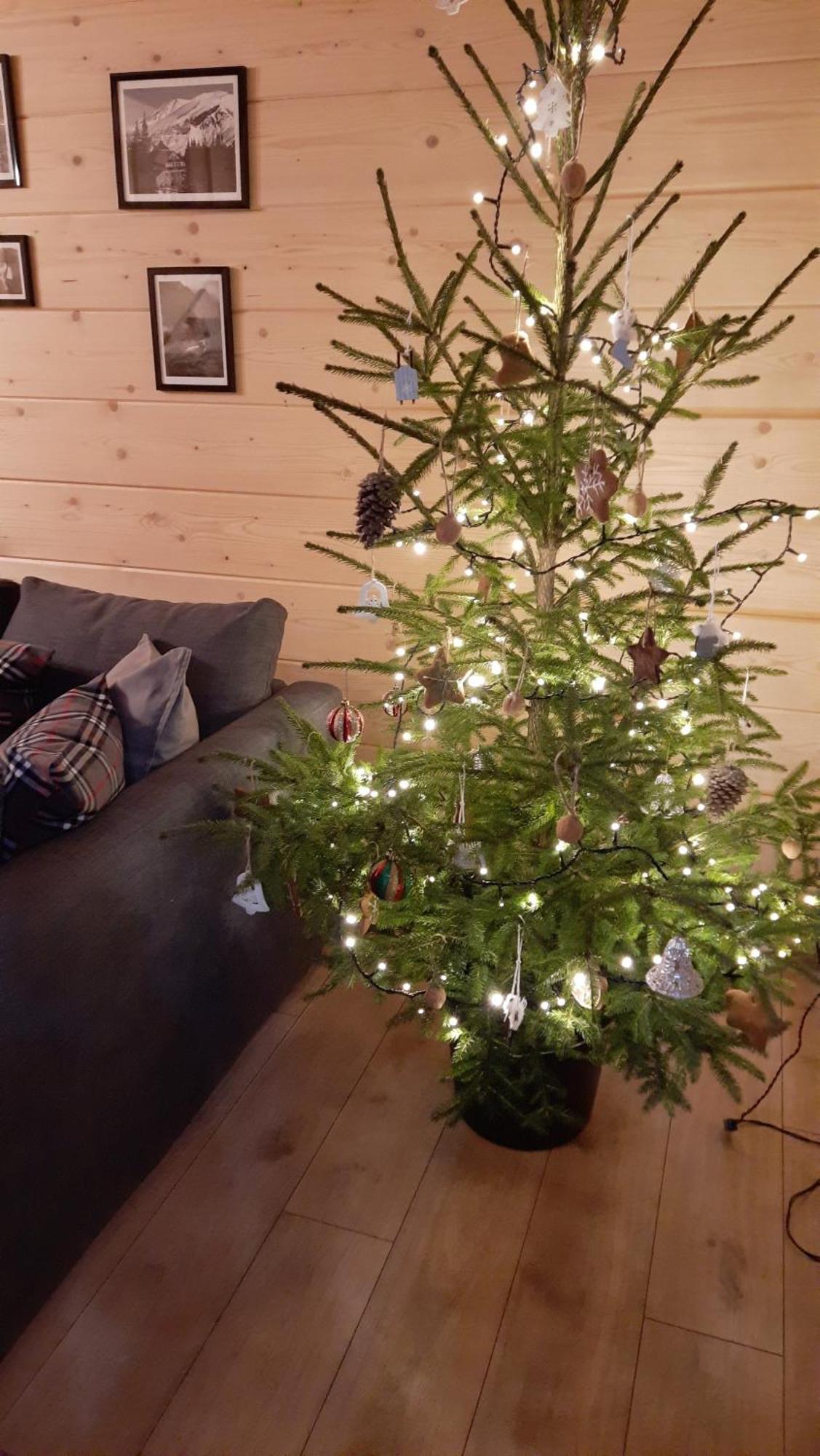 Goralska Chata Przy Dolinie Chocholowskiej Witów Eksteriør bilde